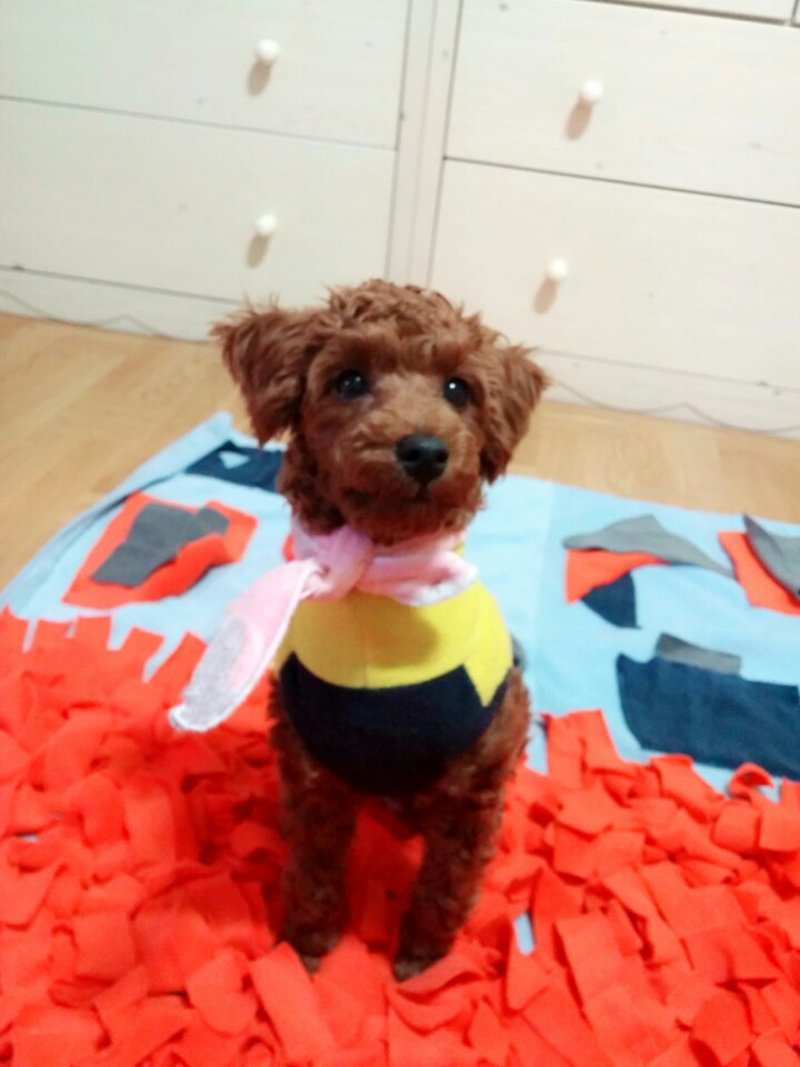 복덩이보물창고 이미지