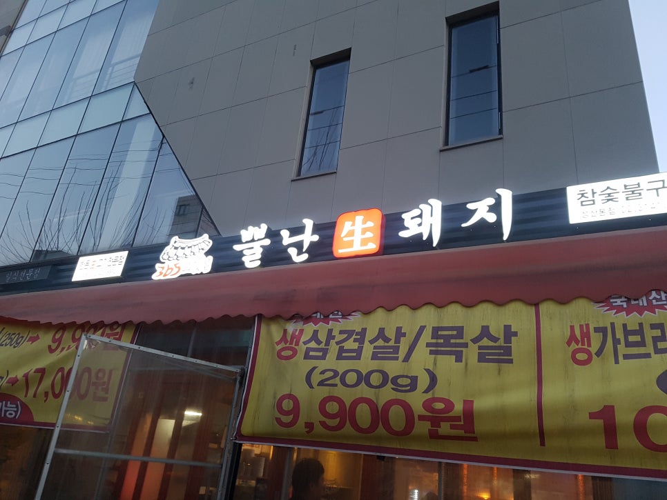 뿔난생돼지 이미지