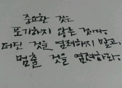써니김밥 이미지
