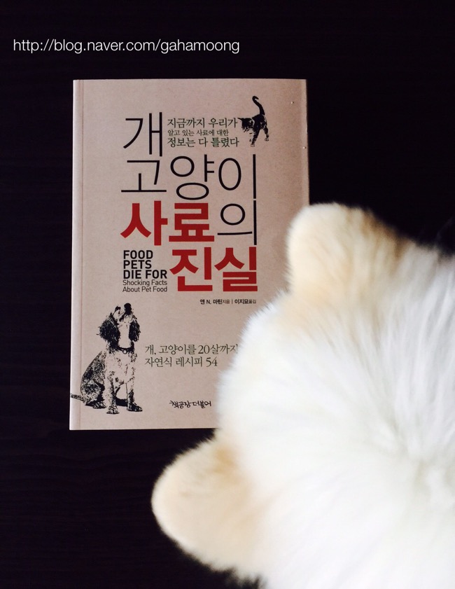 테라카닥터 이미지