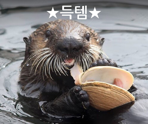 싱크대닷컴 이미지