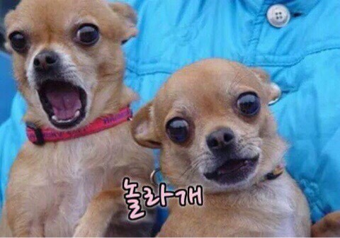 핸드인테리어 이미지