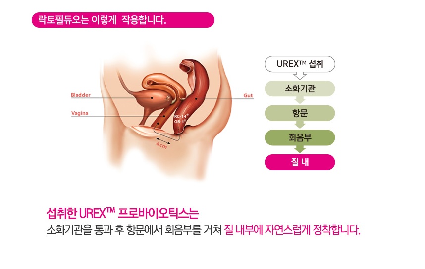 듀오핏 이미지
