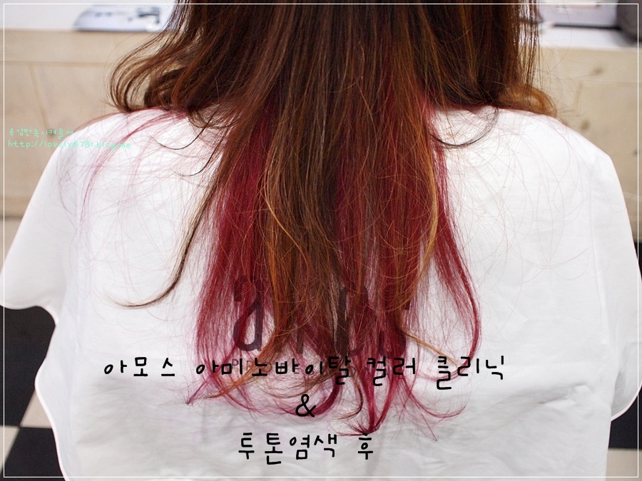 화이트빌헤어 이미지