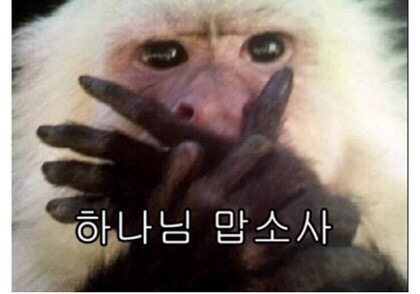 공릉동멸치국수 이미지