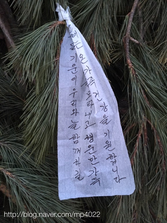 청정농산 이미지
