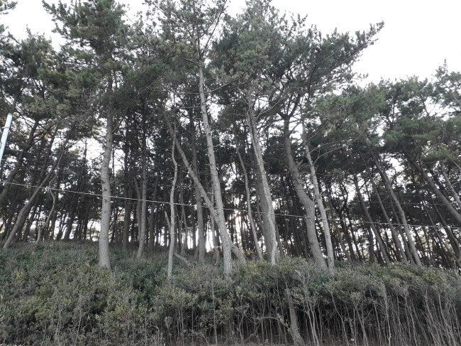 해송한의원 이미지