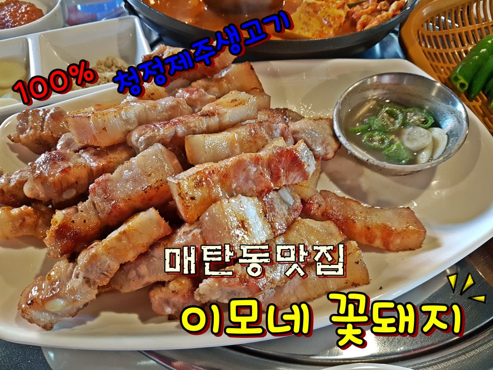 이모네꽃돼지 이미지