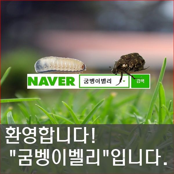 지리산 굼벵이 이미지