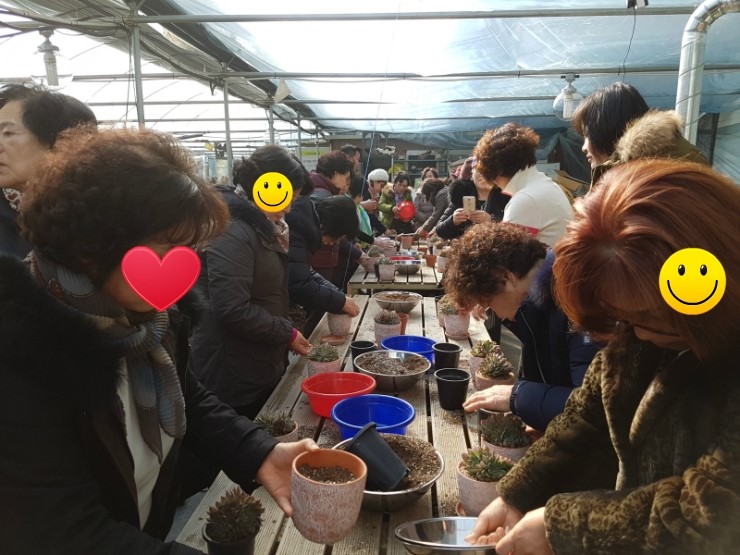 사계절다육농장 이미지