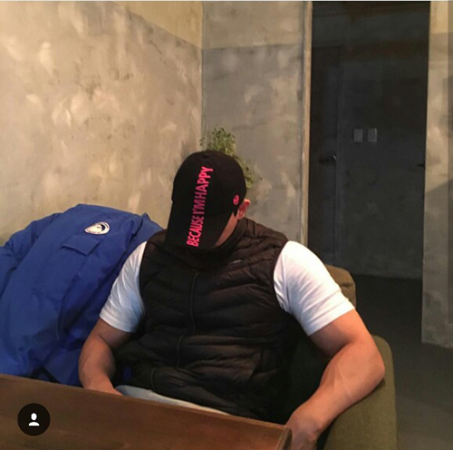 미미트레이너 이미지