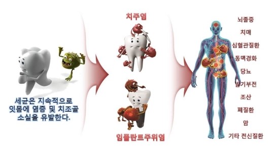 비엔비기획 이미지