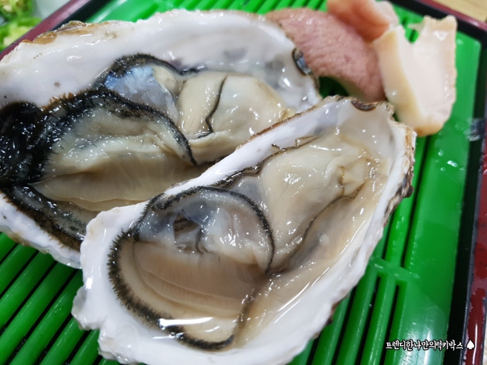 독도회수산 이미지