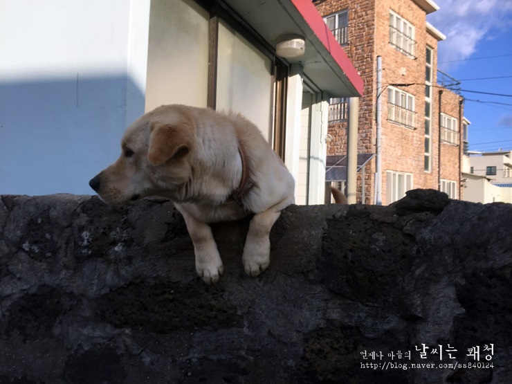 천지연랜드식당 이미지