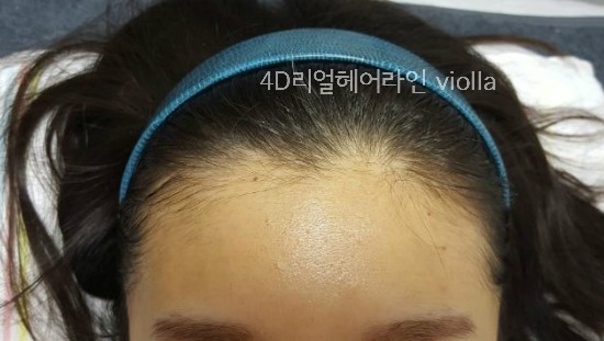비올라(violla) 이미지