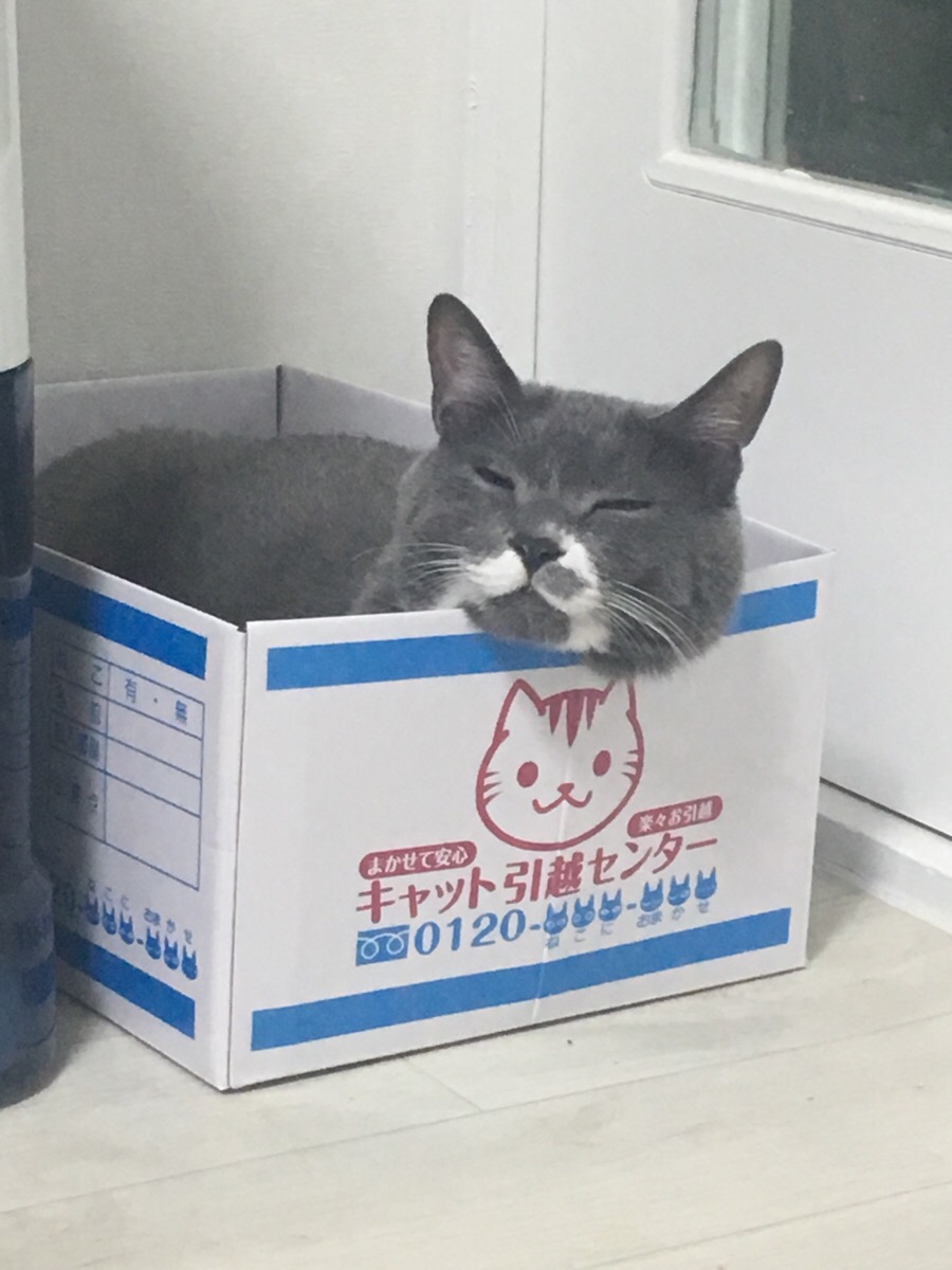이지나라 이미지