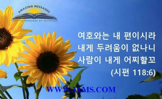 싹난지팡이 이미지