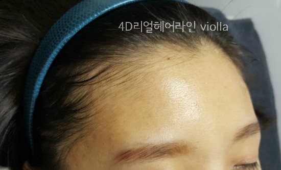 비올라(violla) 이미지