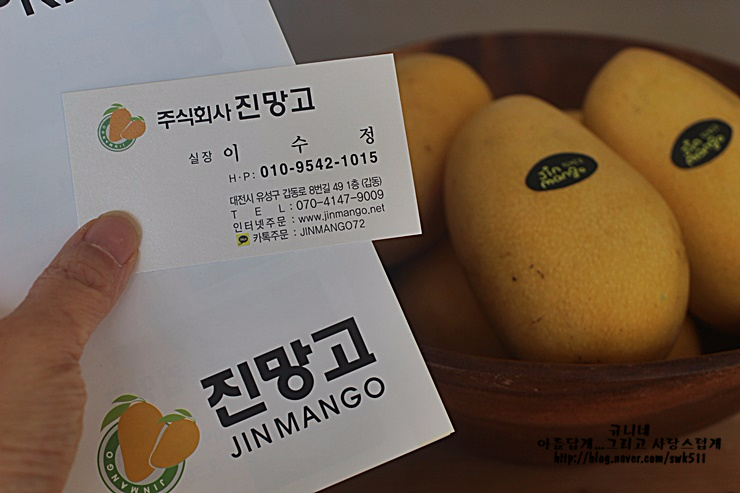 대전진 이미지