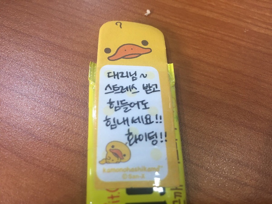 이지나라 이미지