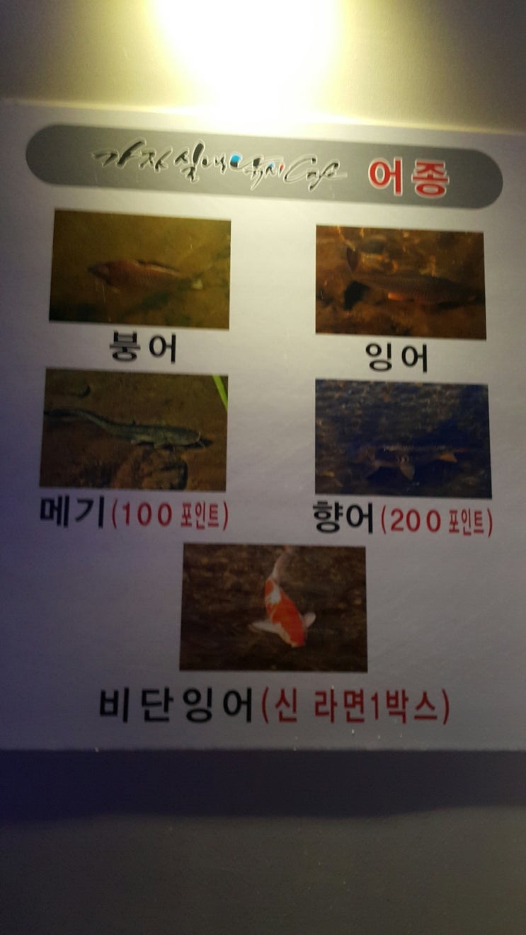 카페가자 이미지