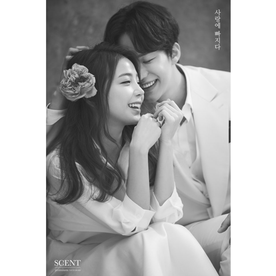 라라컴퍼니 이미지