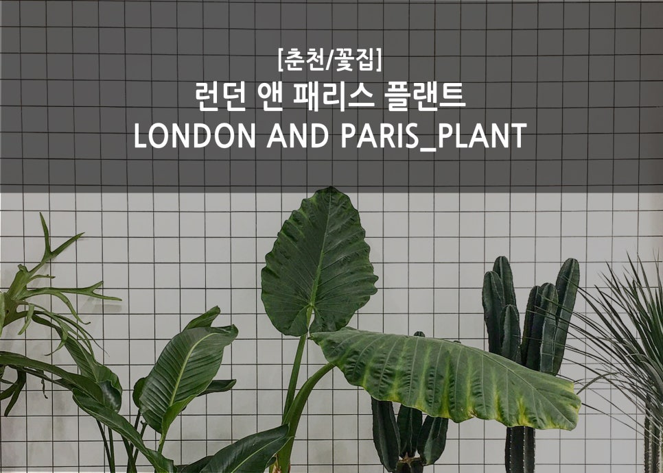 런던앤패리스 이미지