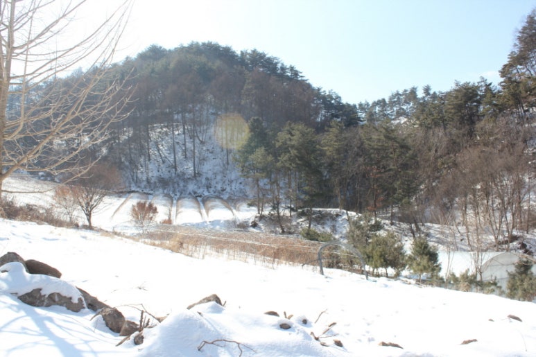 산마루영농조합법인 이미지