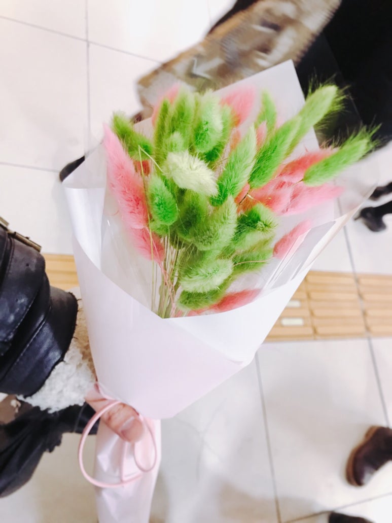 라그라스 이미지