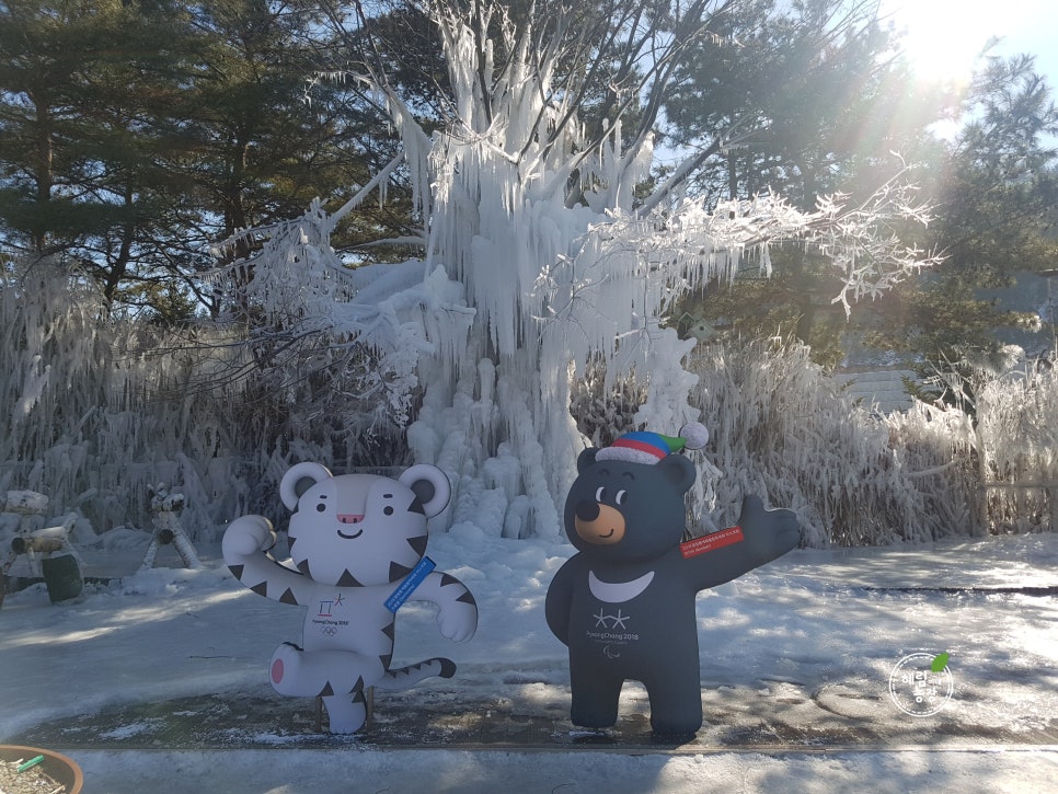 혜림이네농장 이미지