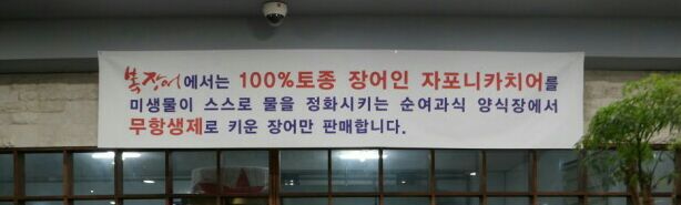 풍천복장어 이미지