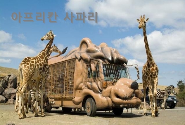 찰리정투어주 이미지
