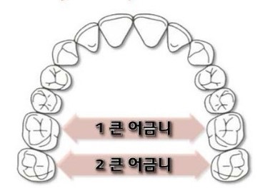 서울온가족치과 이미지