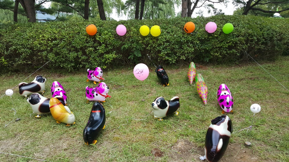 벚꽃풍선 이미지