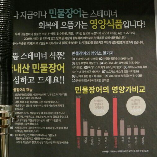 풍천복장어 이미지