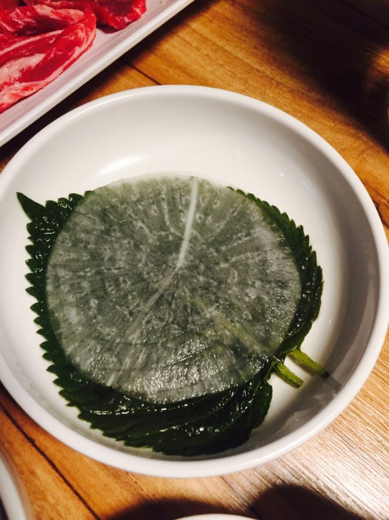 이가네소한마리 사진 7