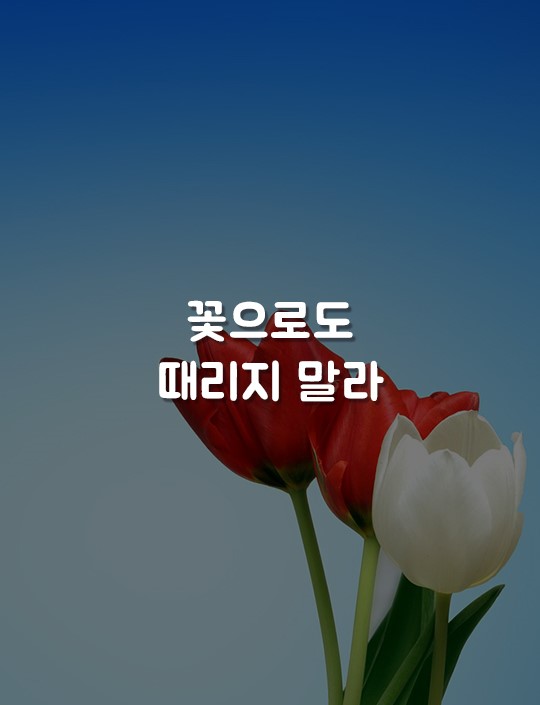신도오에이 이미지