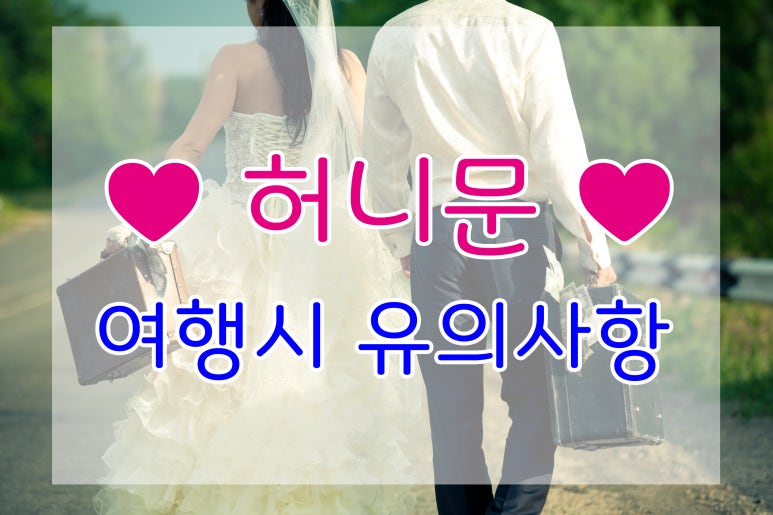 한성여행사 이미지