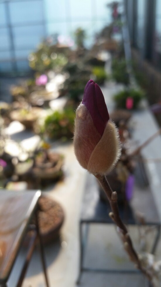 꽃피는뜰 이미지