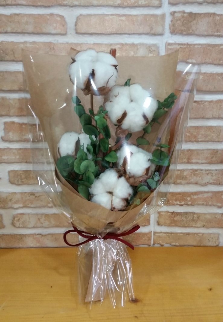 담쟁이화원 이미지