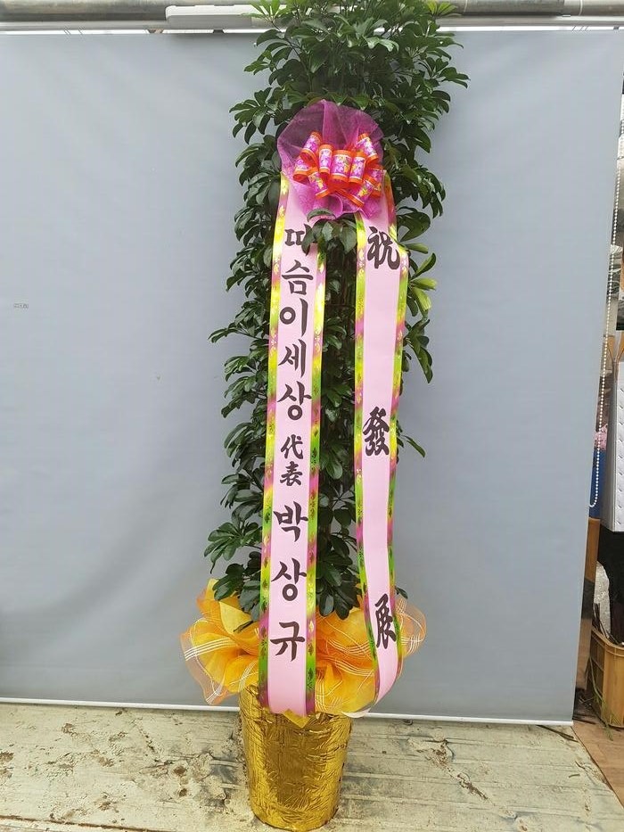 삼오테크 이미지