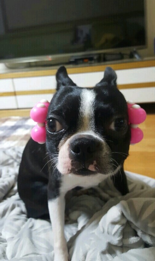 너란, 꽃 이미지