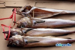명품코다리 이미지