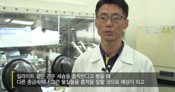 수목토일라이트 이미지