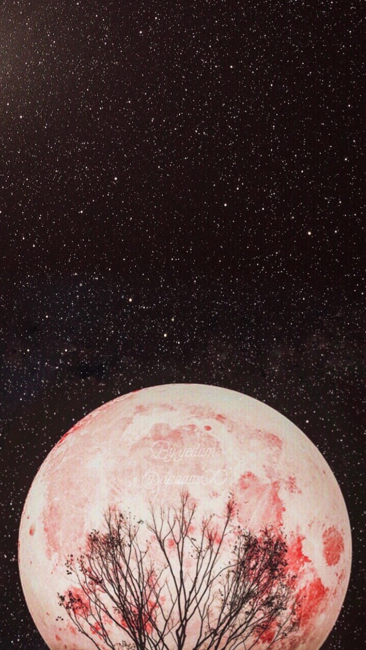 색을담는꿈 이미지