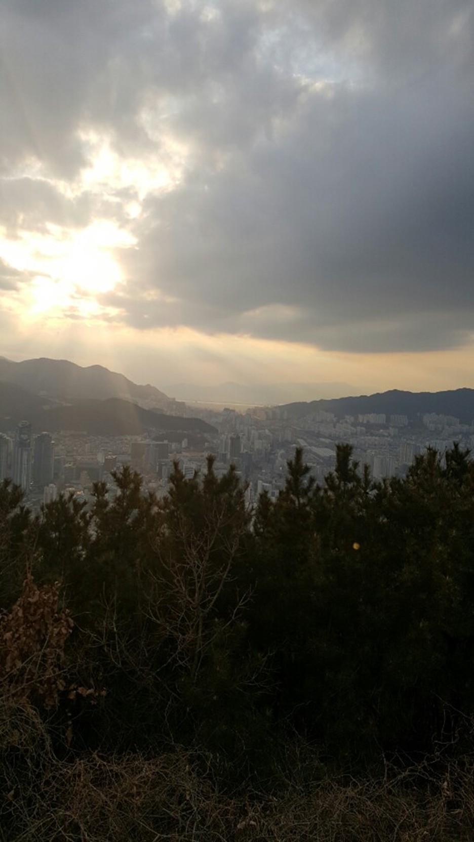 헤어쟁이 이미지