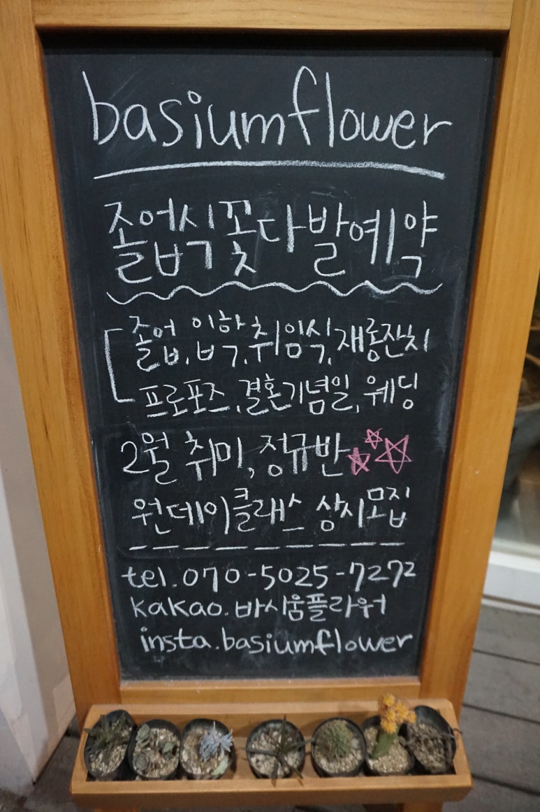 바시움플라워 이미지