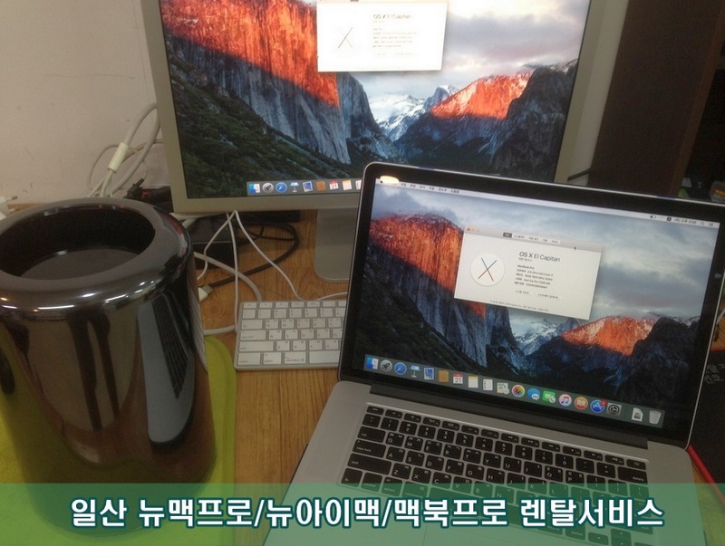 스타덤피씨 이미지
