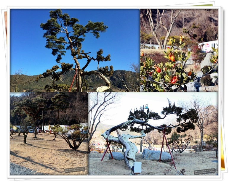 (주)푸른숲조경 이미지