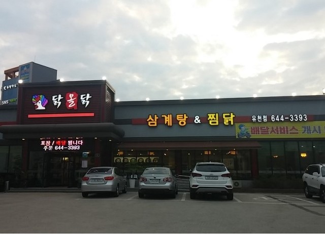 닭올닭 이미지